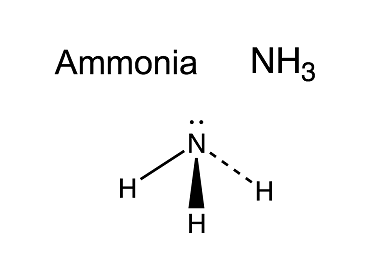 formula, sulfate & quiz