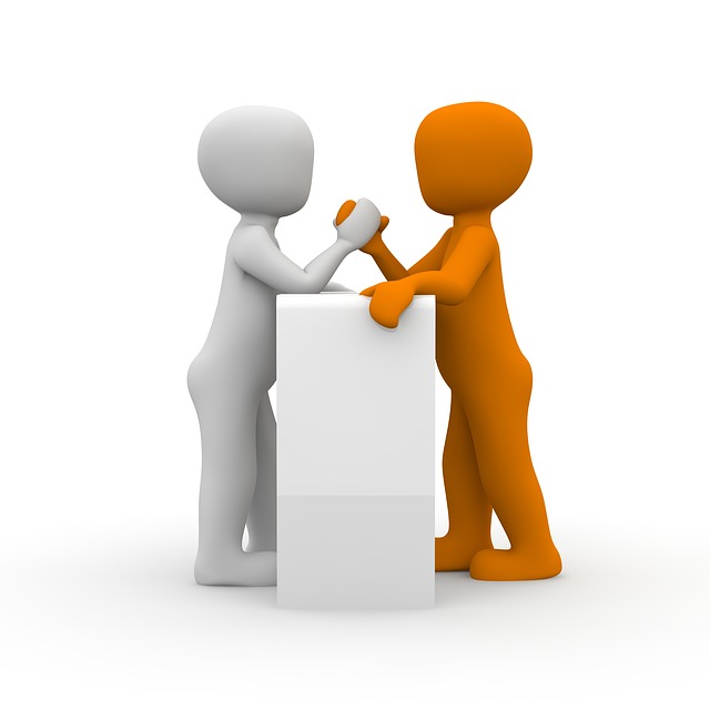 free enterprise: profit, risk, competition & productivity