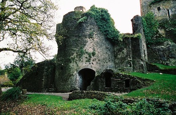 blarney castle3