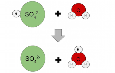 seldom lose its other hydrogen to form another hydronium ion