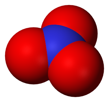 ammonification: definition & nitrogen cycle