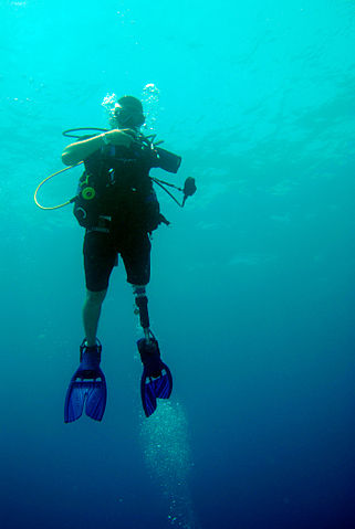 air embolisms - a venous air embolism refers to air bubbles