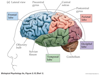 definition & research