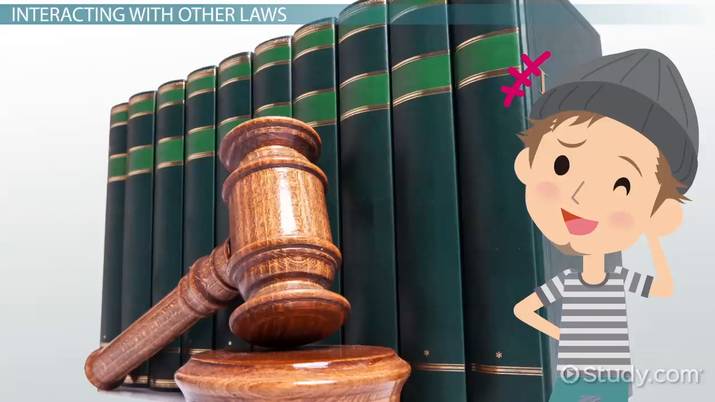 what is a statute? - definition & laws