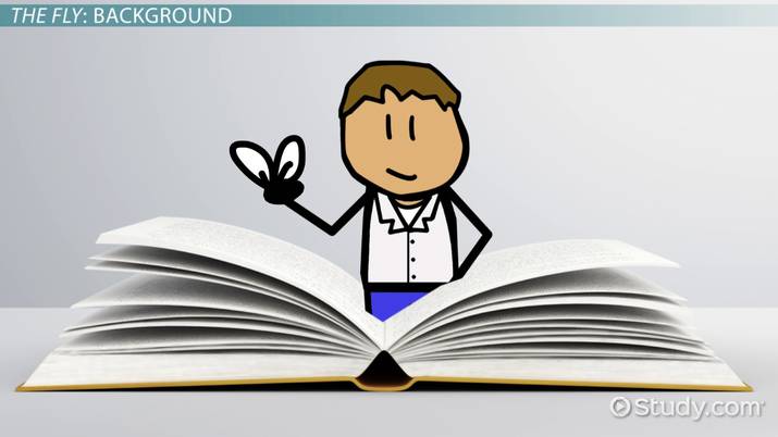 the fly by katherine mansfield: summary & analysis